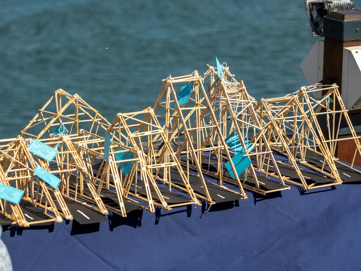Bridge Building Competition